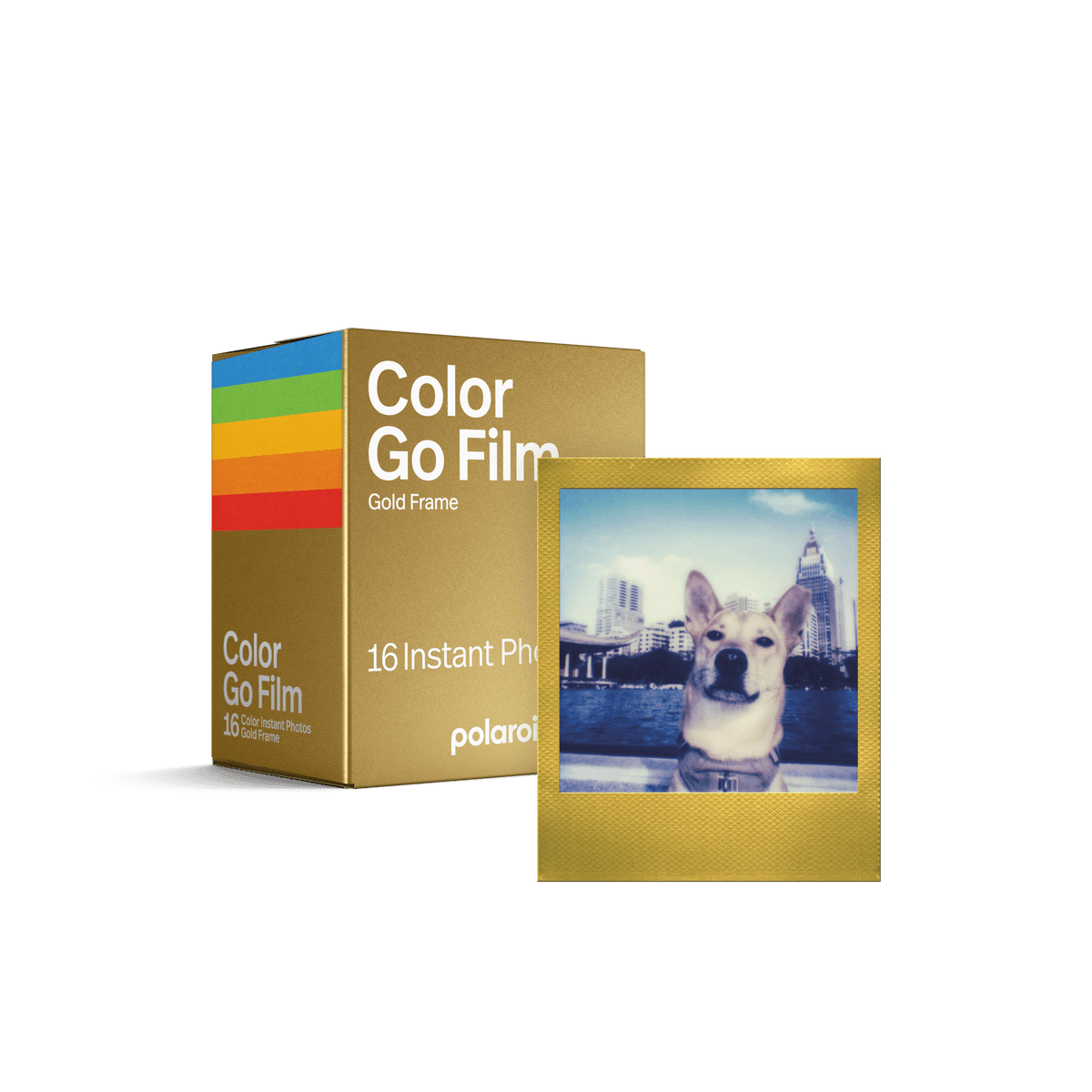 Polaroid Go Color Film Double Pack – Gold Frame